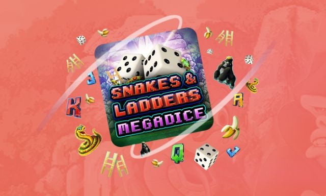 Megadice casino interface op desktop